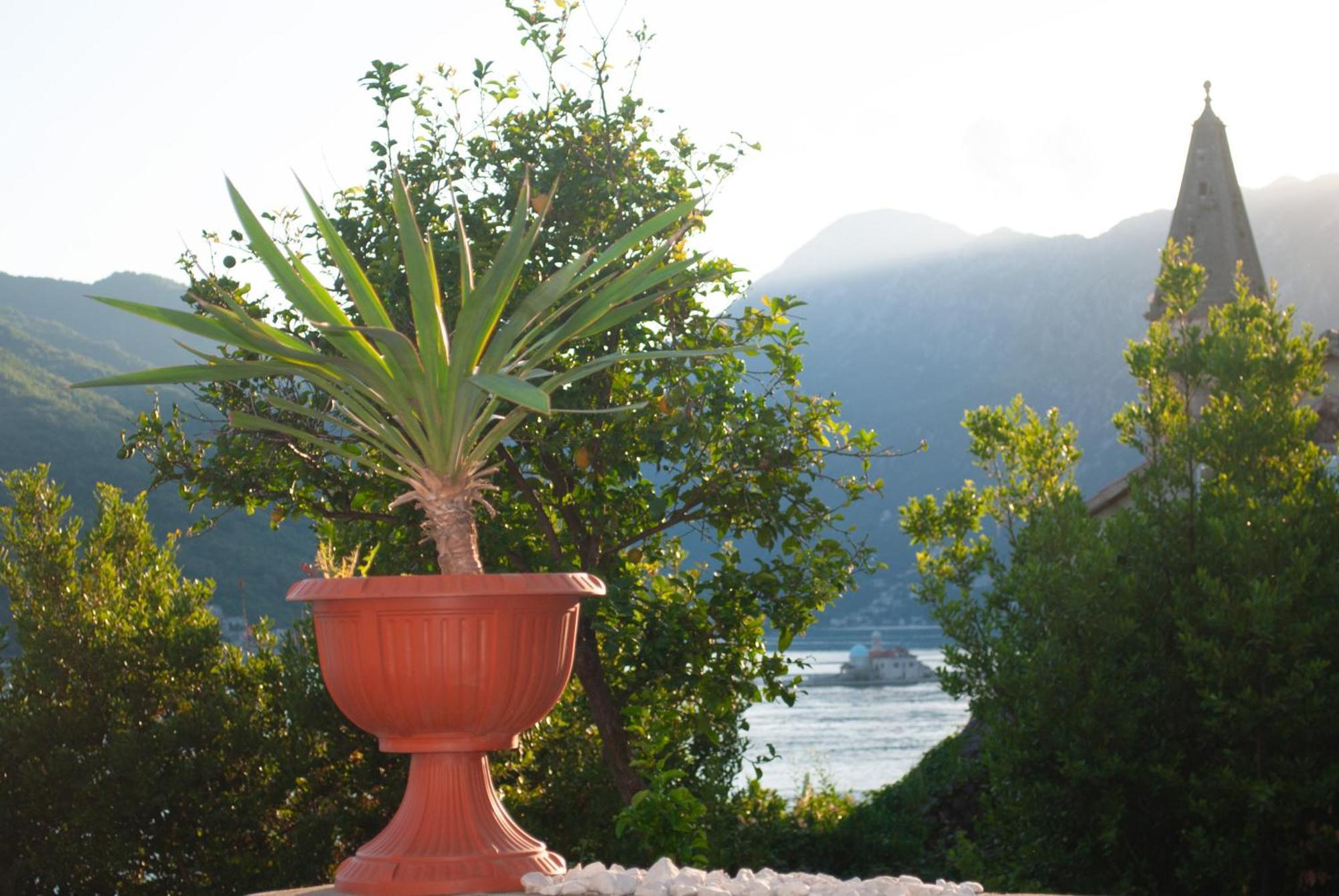 Apartment Mediterraneo Seagull Perast Kültér fotó